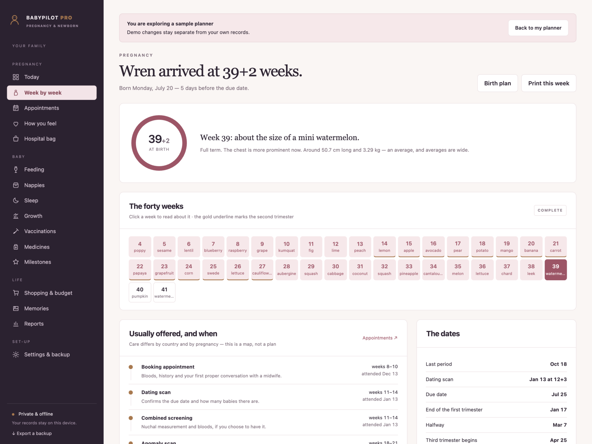 BabyPilot Pro - a screen from the app